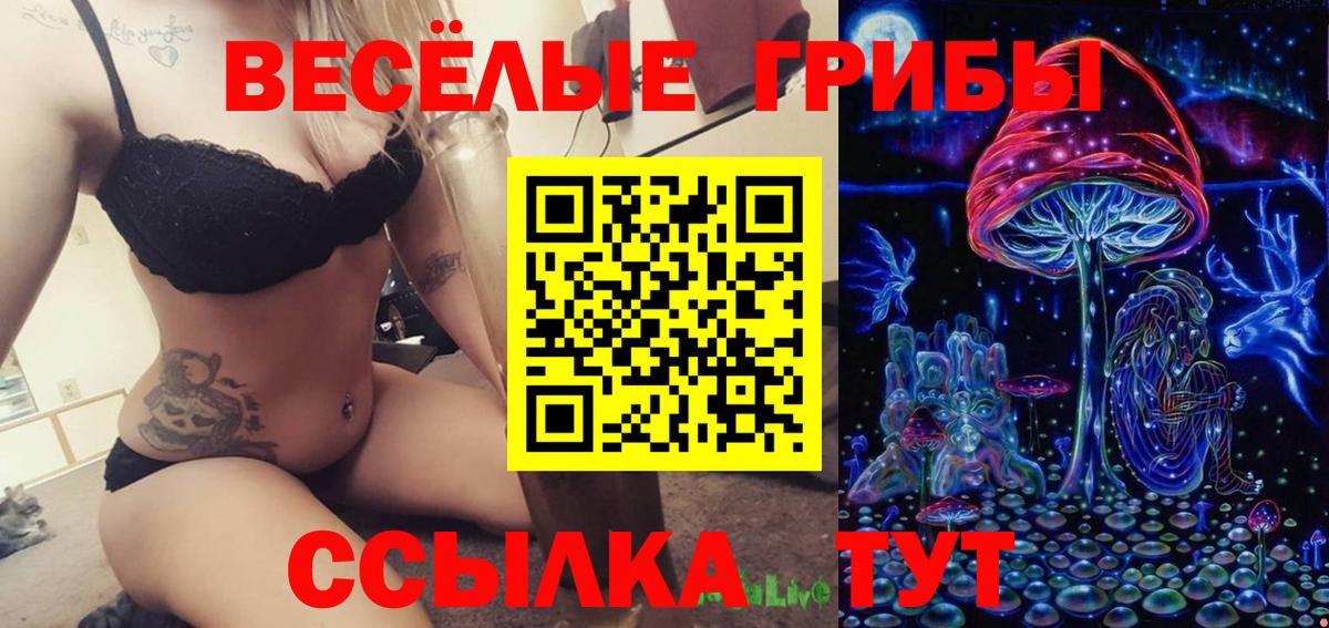 Псилоцибиновые грибы Magic Shrooms  купить  цена  Котлас  Вход с VPN 